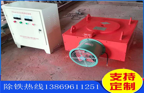 RCDA系列風(fēng)冷懸掛式電磁除鐵器