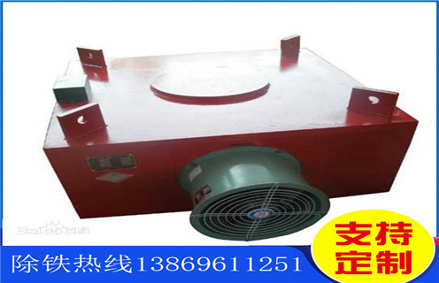 電磁風(fēng)冷除鐵器，福建RCDA-16電磁風(fēng)冷除鐵器_選型及風(fēng)機(jī)型號(hào)_福建RCDA-16電磁風(fēng)冷除鐵器工作原理_廠家價(jià)格